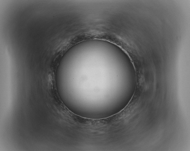 X0000111491397200907210959