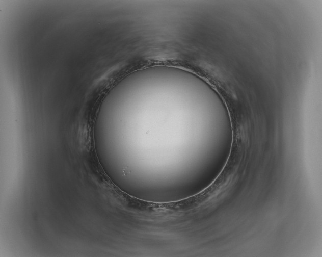 X0000111491398200907210959