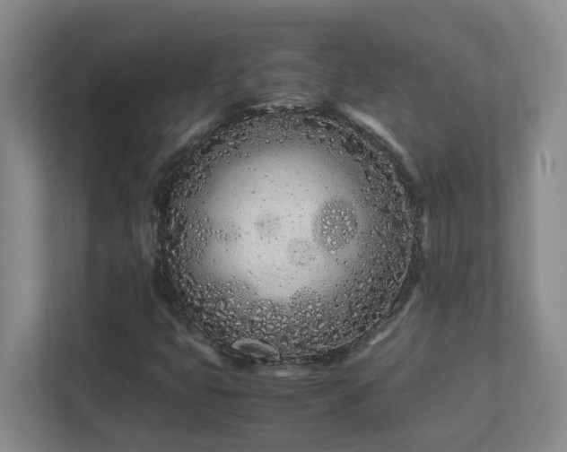 X0000111491399200907210959