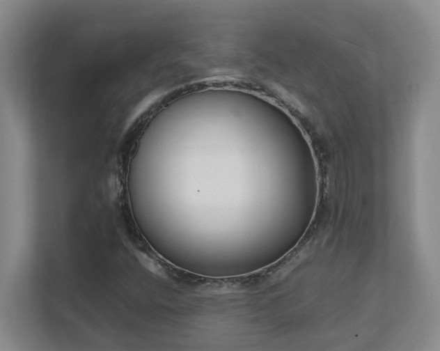 X0000111491400200907210959