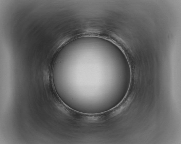 X0000111491401200907210959