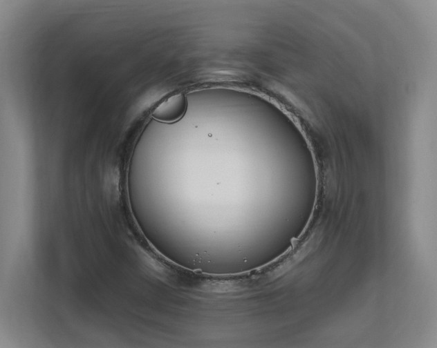 X0000111491402200907210959