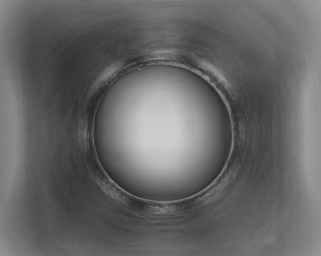 X0000111491403200907210959