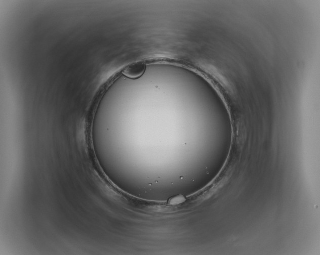 X0000111491404200907210959