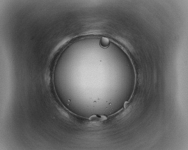 X0000111491406200907210959