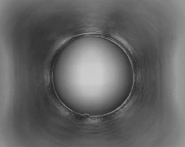 X0000111491407200907210959