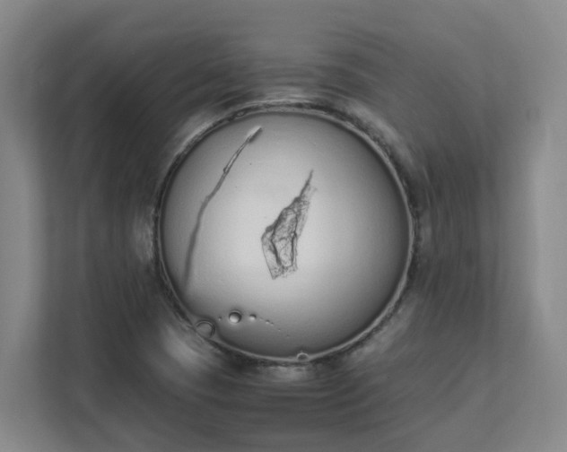 X0000111491409200907210959