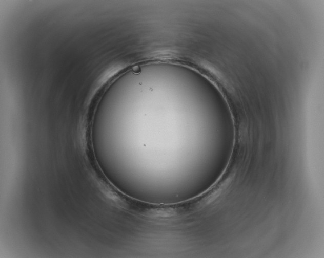 X0000111491410200907210959