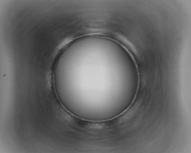 X0000111491411200907210959