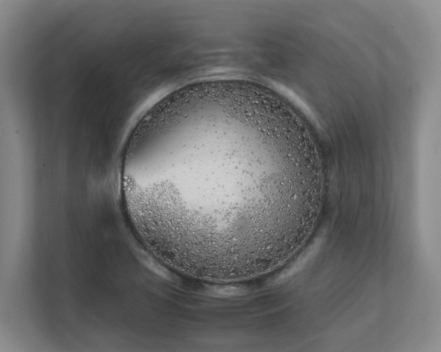 X0000111491413200907210959