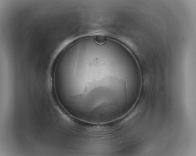 X0000111491414200907210959