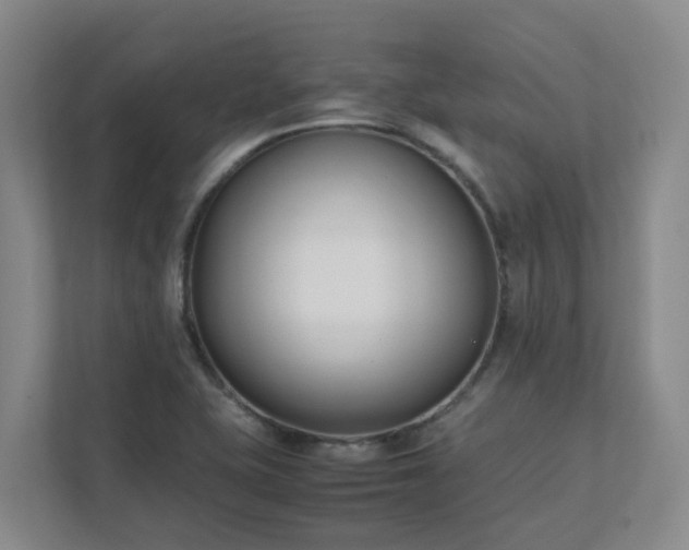 X0000111491415200907210959