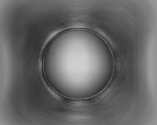 X0000111491416200907210959