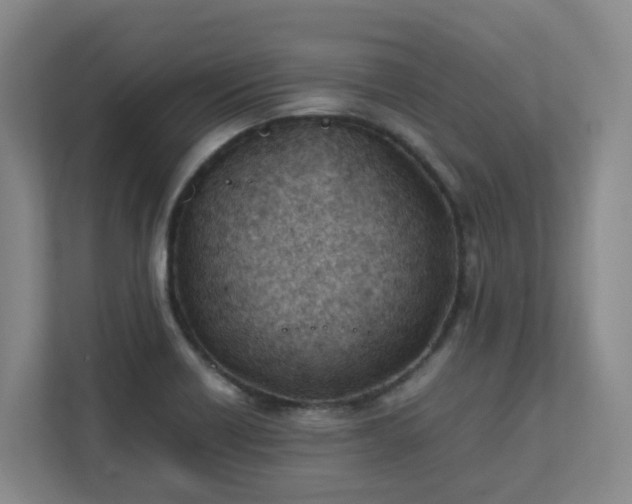 X0000111491418200907211000