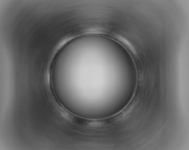 X0000111491419200907211000