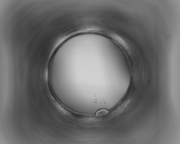 X0000111491420200907211000