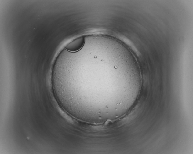 X0000111491421200907211000