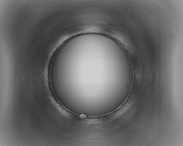 X0000111491422200907211000