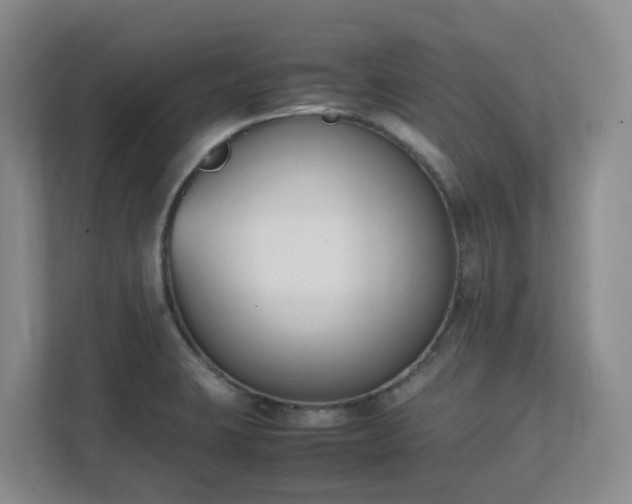 X0000111491423200907211000