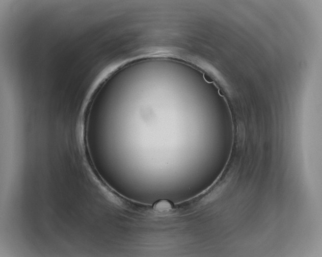 X0000111491424200907211000