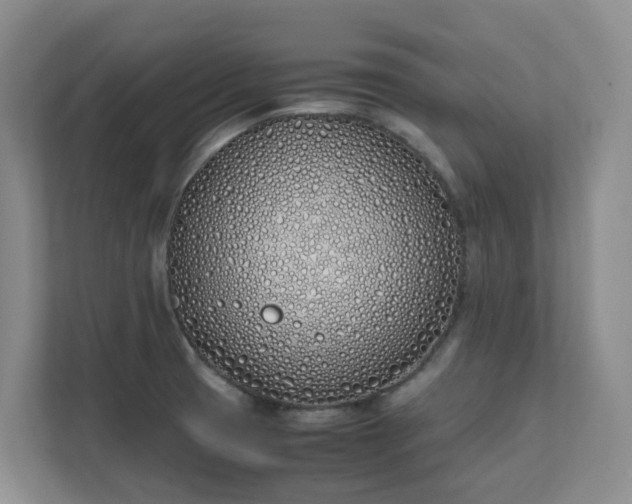 X0000111491425200907211000