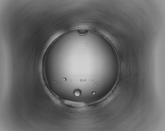 X0000111491426200907211000