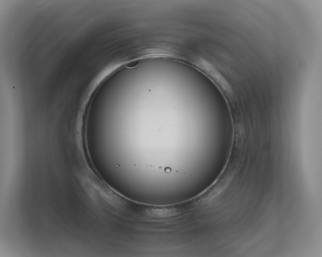 X0000111491427200907211000