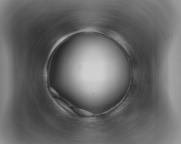 X0000111491428200907211000