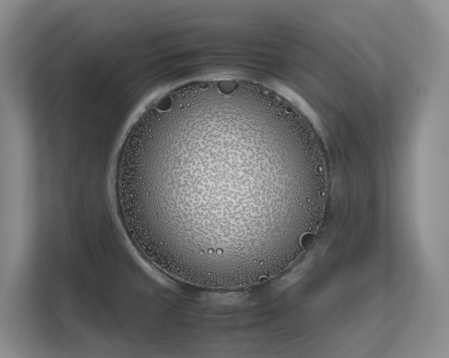 X0000111491429200907211000