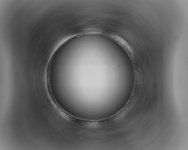 X0000111491431200907211000