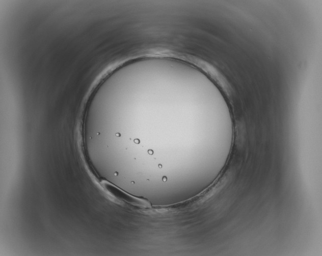 X0000111491432200907211000