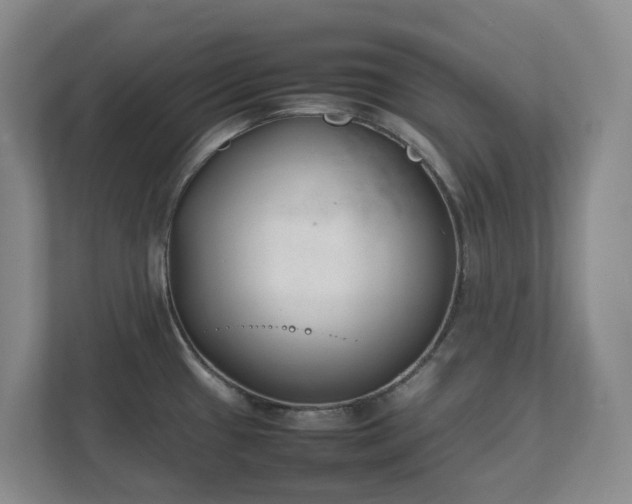 X0000111491433200907211000