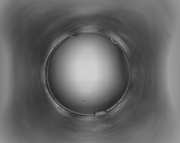 X0000111491434200907211000