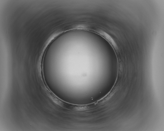 X0000111491435200907211000