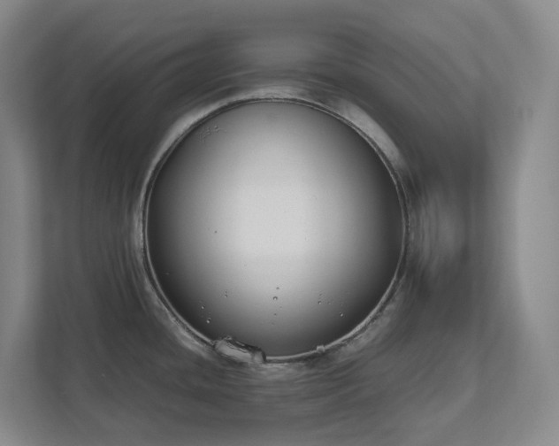 X0000111491436200907211000