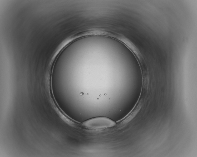 X0000111491438200907211000