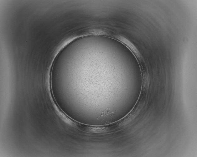 X0000111491439200907211000