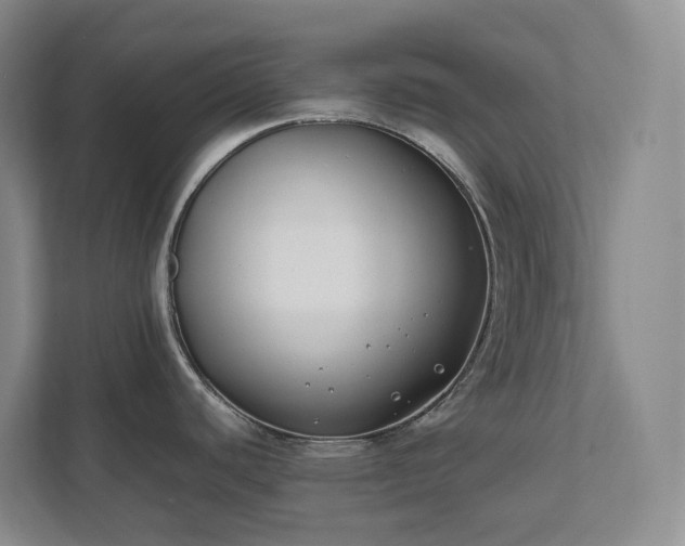 X0000111491440200907211000