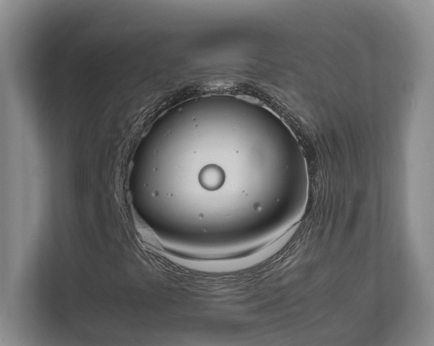 X0000111491441200907210959