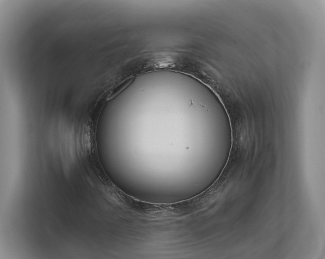 X0000111491442200907210959