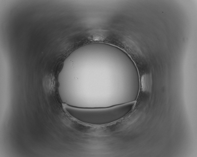 X0000111491443200907210959