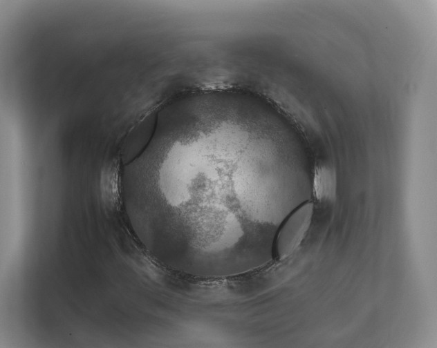 X0000111491444200907210959