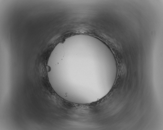 X0000111491446200907210959