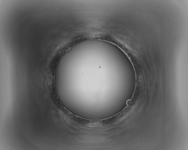 X0000111491447200907210959