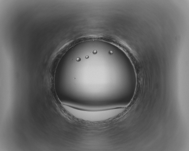 X0000111491448200907210959