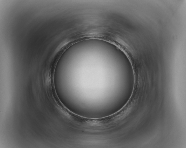 X0000111491450200907210959