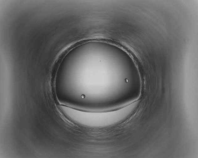 X0000111491452200907210959