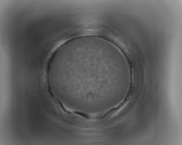 X0000111491453200907210959