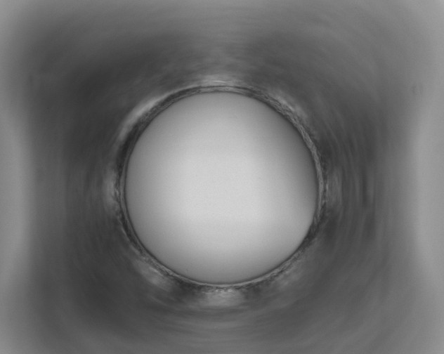 X0000111491454200907210959