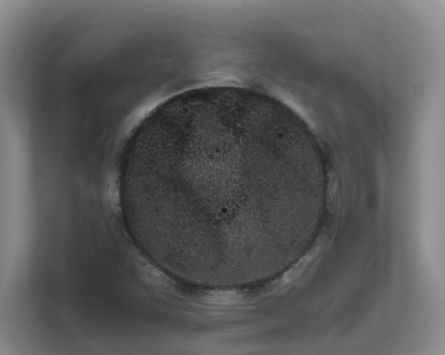 X0000111491455200907210959